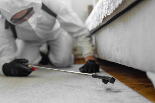 Professional Bed Bug Control technician working in Newton, KS