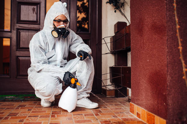 Reliable Bed Bug Control contractor in Newton, KS by Nex Pest Control