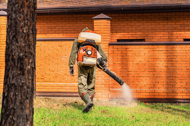 Trusted Termite Control service in Newton, KS - Nex Pest Control